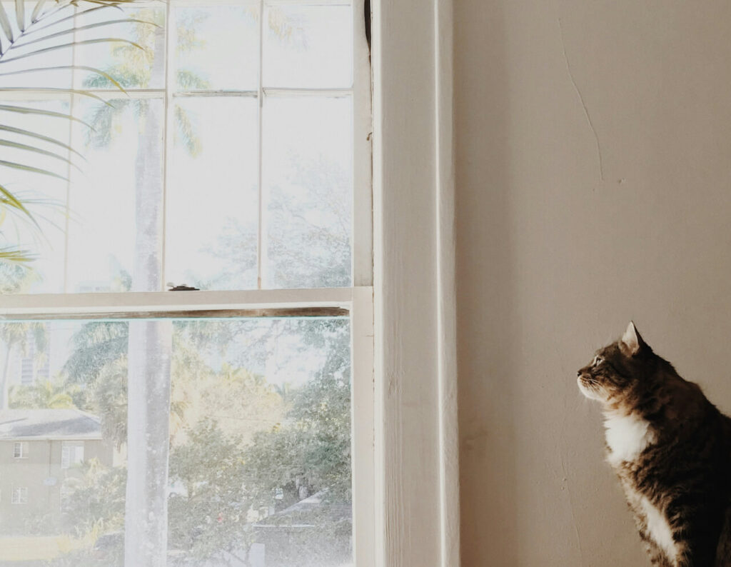 window with natural light